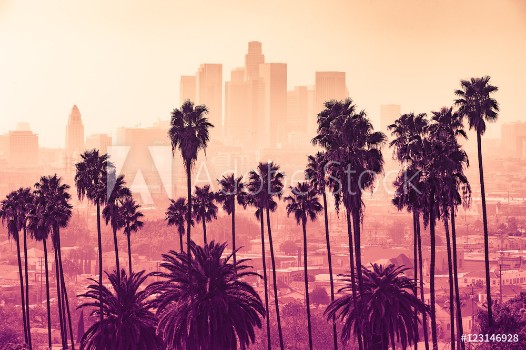 Picture of Los Angeles skyline with palm trees in the foreground